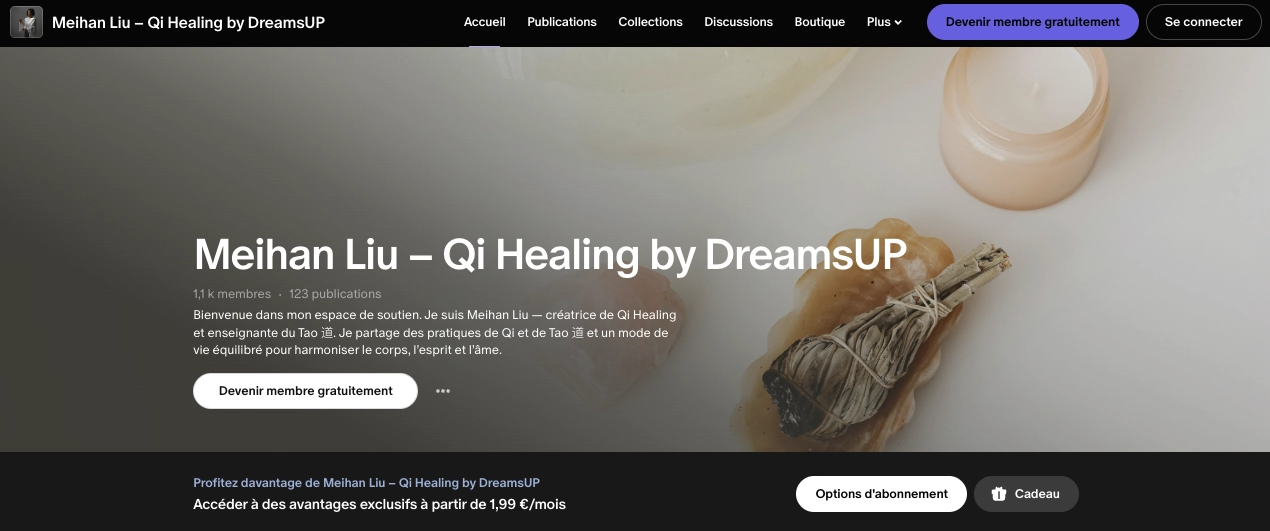 boutique Vinted Meihan Liu